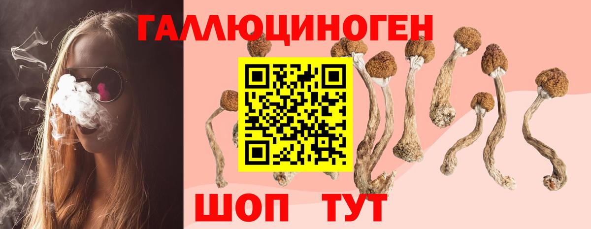 Соликамск  Псилоцибиновые грибы ЛСД  Вход с VPN  Псилоцибиновые грибы ЛСД 